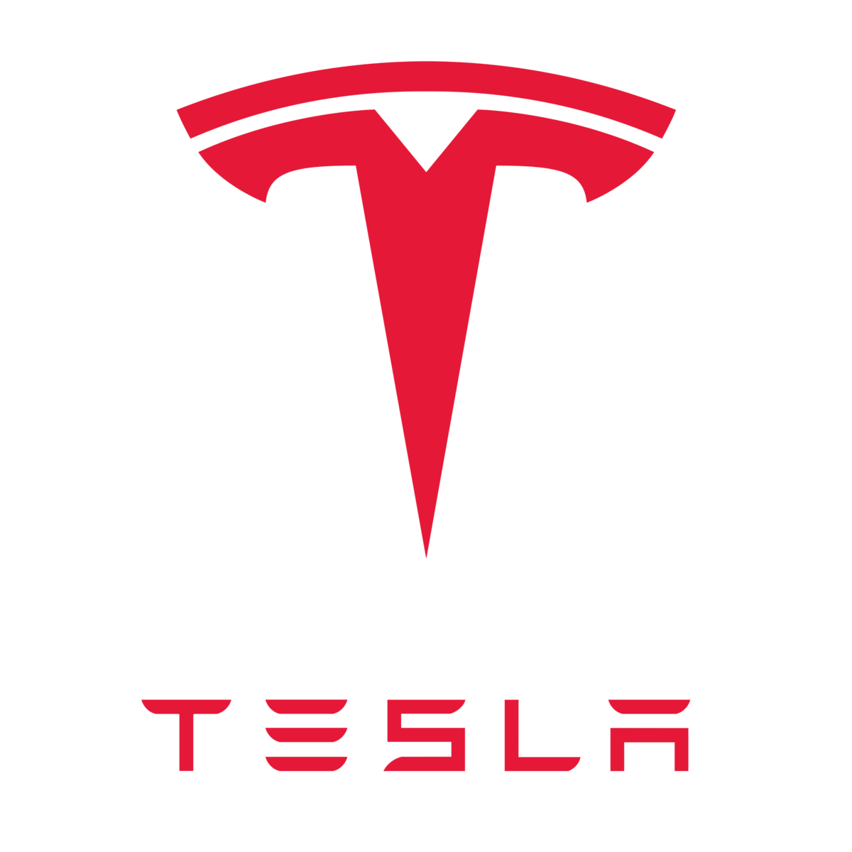 Tesla Jobs Delhi