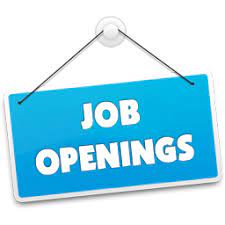 Sales Executive Jobs Nagpur